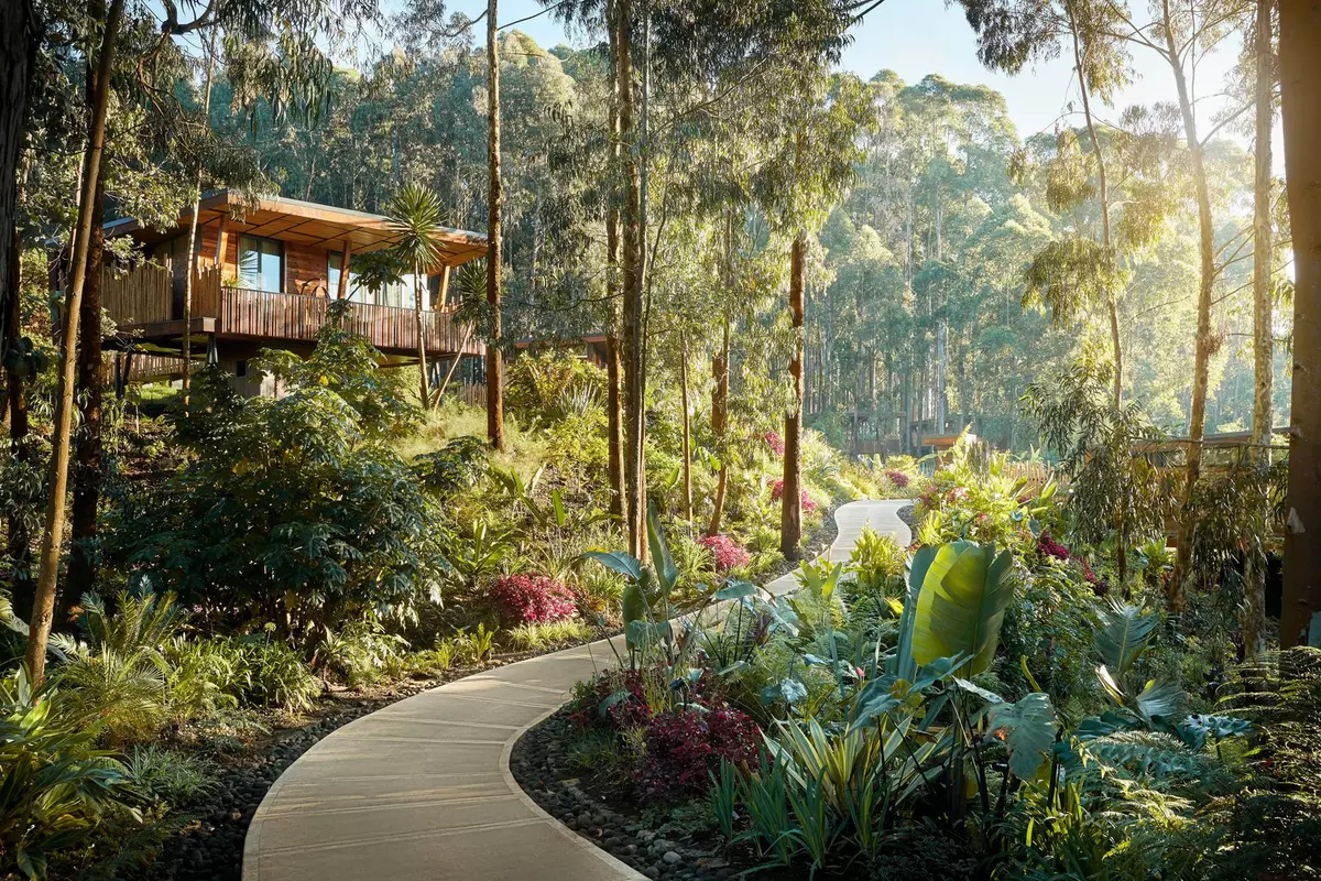 One&Only Gorilla’s Nest luxury lodge