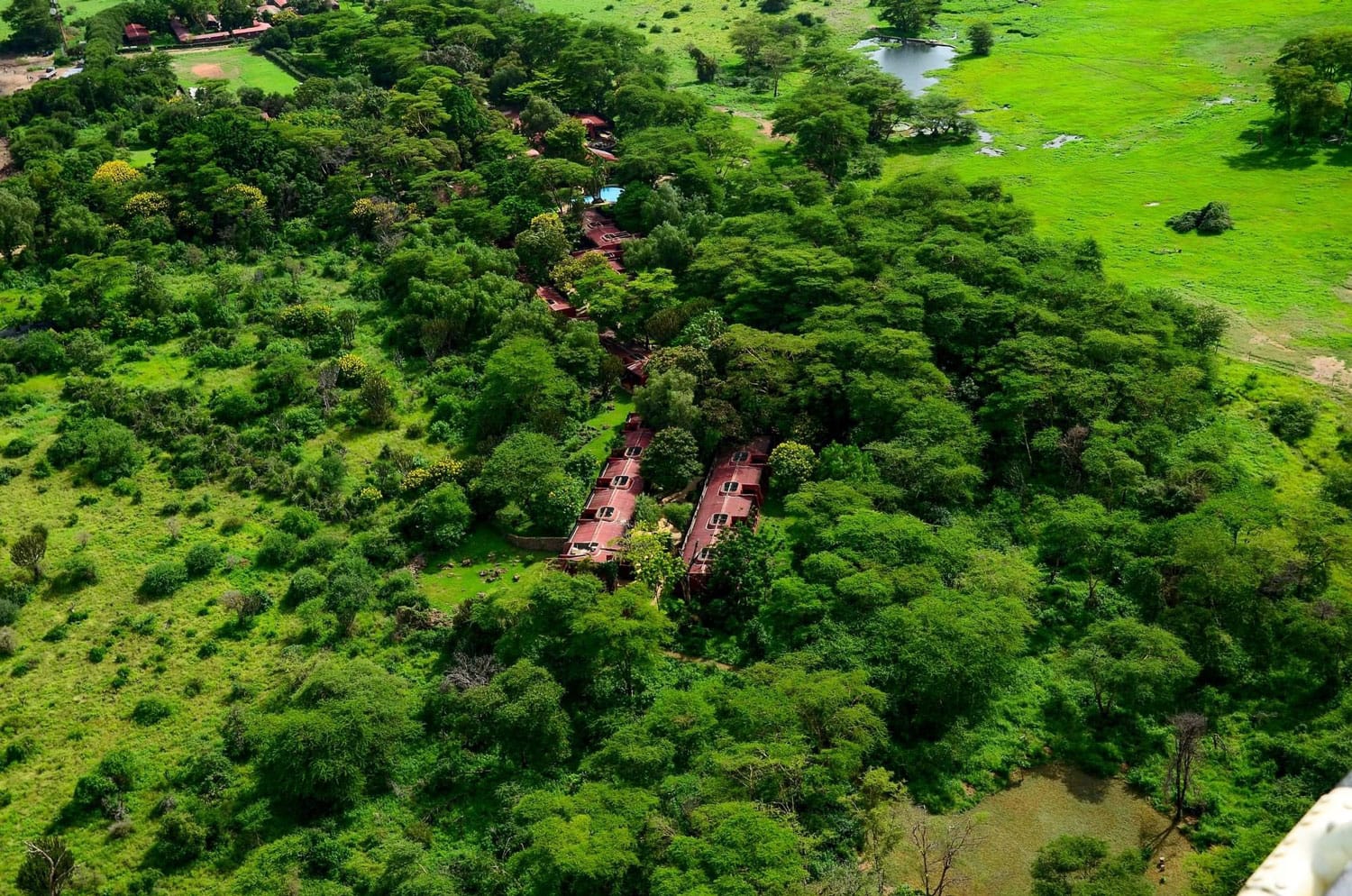 Amboseli Serena Safari Lodge