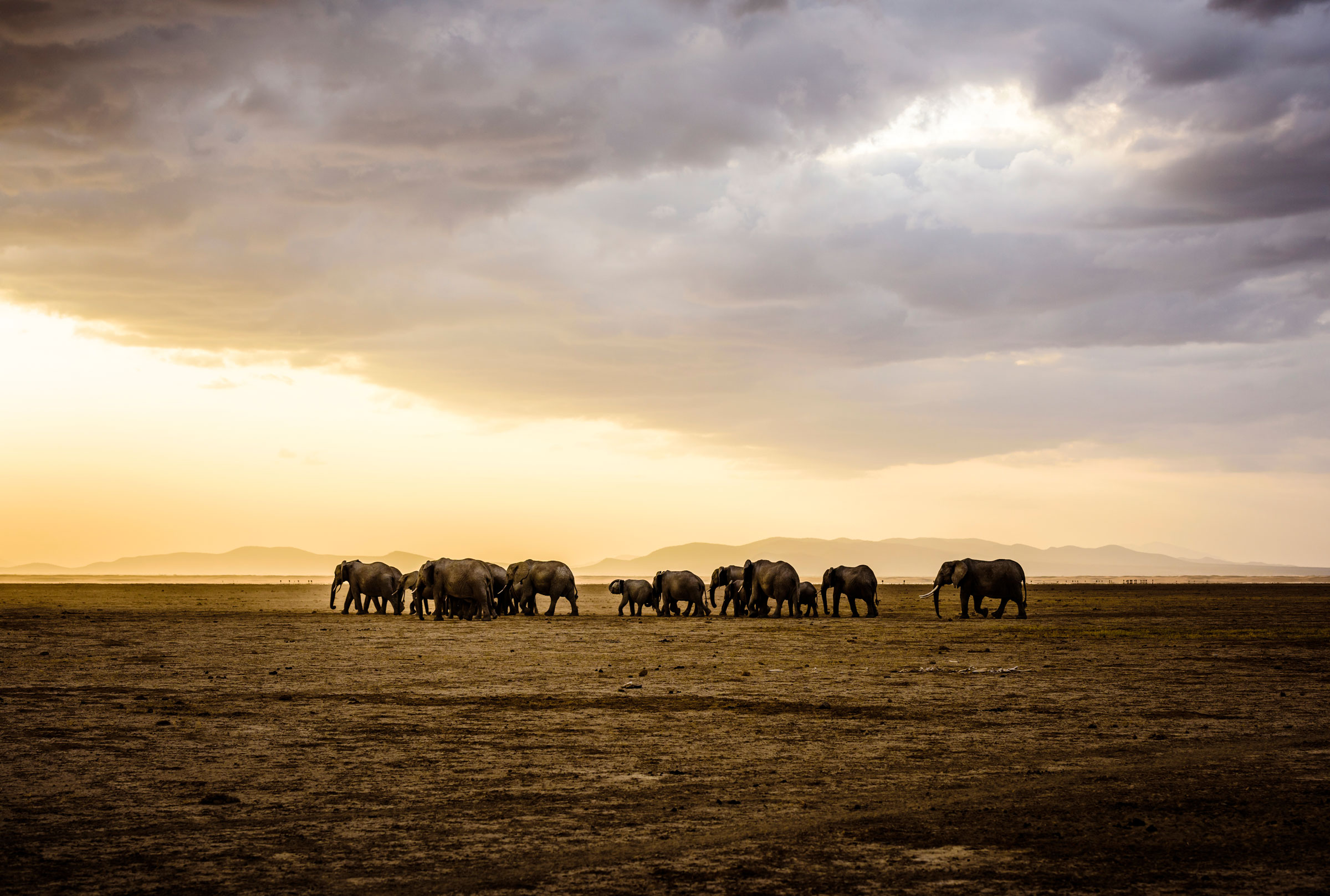 Great Migration Safari Tanzania