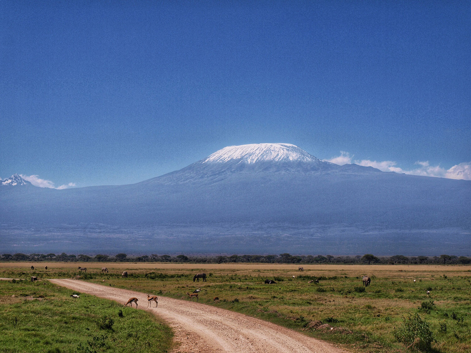 The road to Mount Kilimanjaro in Amboseli